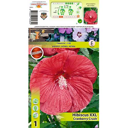  nas Roze XXL Cranberry Crush 70415 Daudzgad s Ieg d jieties Lab k 